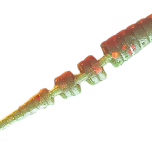 KA-Lures Poliarikas 30mm 20vnt/pak