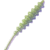 004 green violet