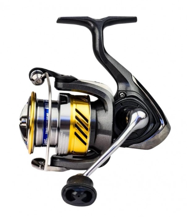 Ritė Daiwa Laguna LT