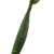 Shiny Green