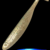 Seliava