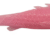 006 baby pink