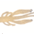 Milky Dill