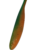 Carrot Apple