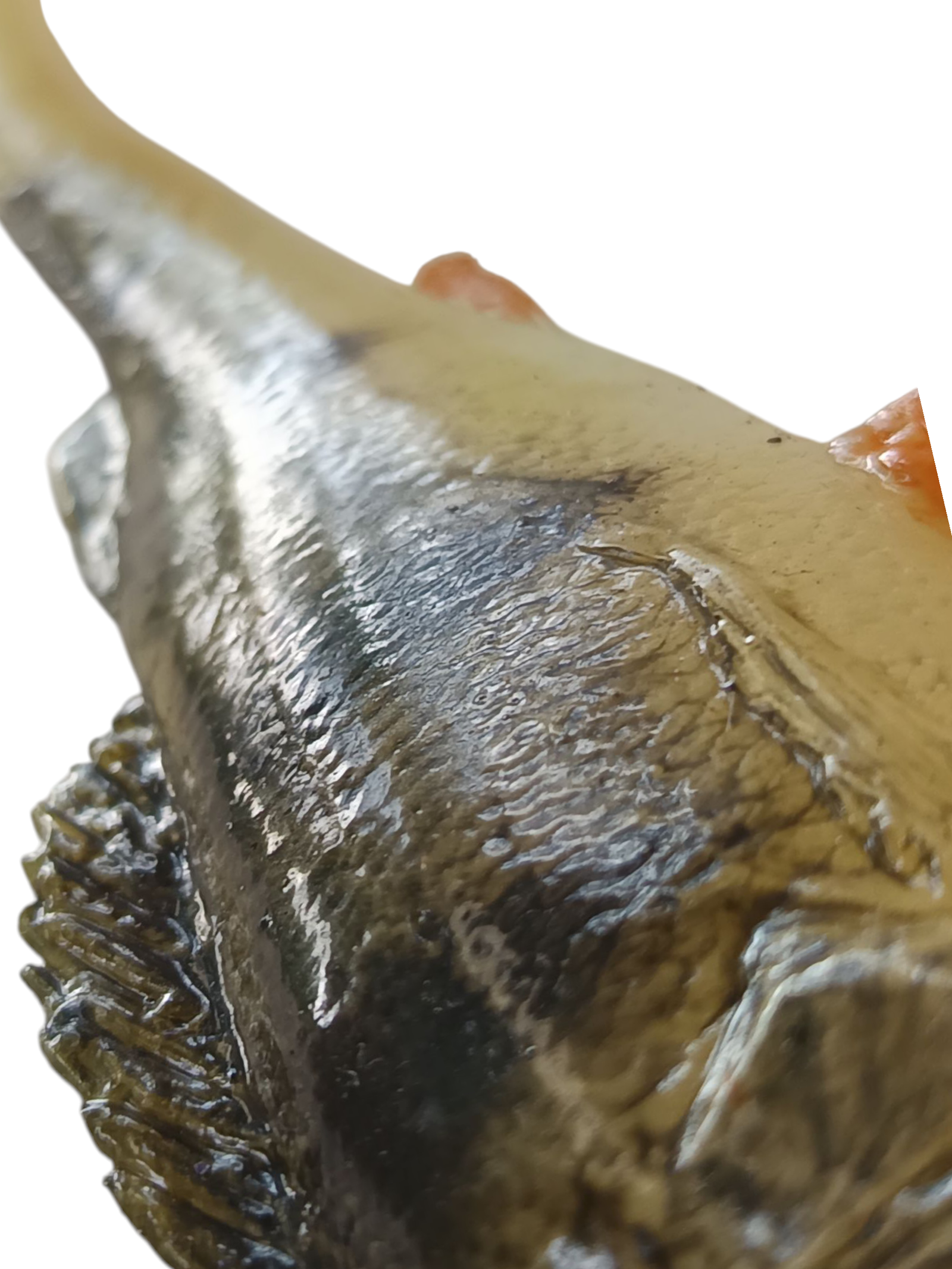 Aggressive Perch 130mm 24g/ 1vnt