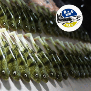 A&S Baits