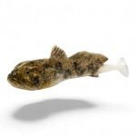 Gobby 125mm 30g