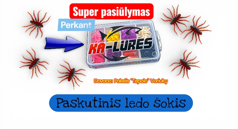 Photoroom-20260220_173237954-Photoroom