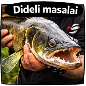 Dideli masalai