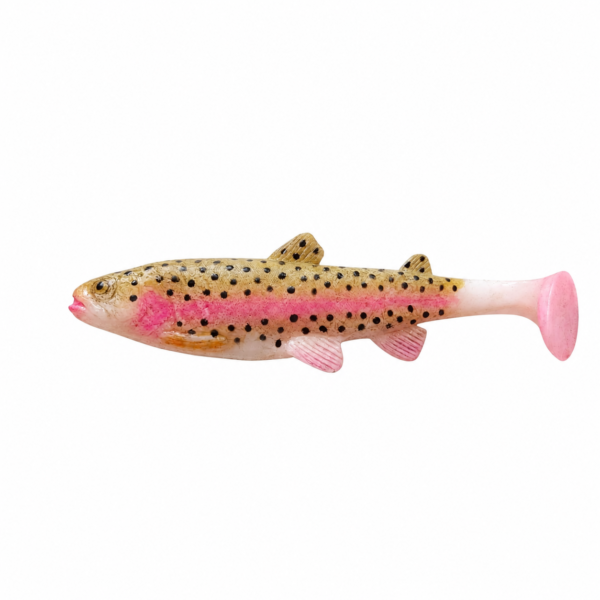 Trout 20cm 93g