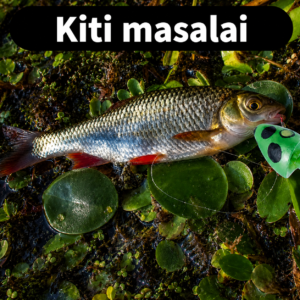 Kiti masalai