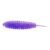 Violet V