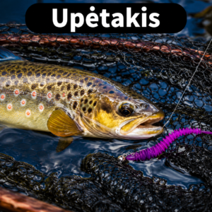Upėtakis