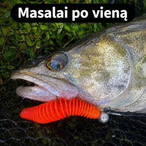 Masalai po 1vnt