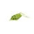 Frog-03
