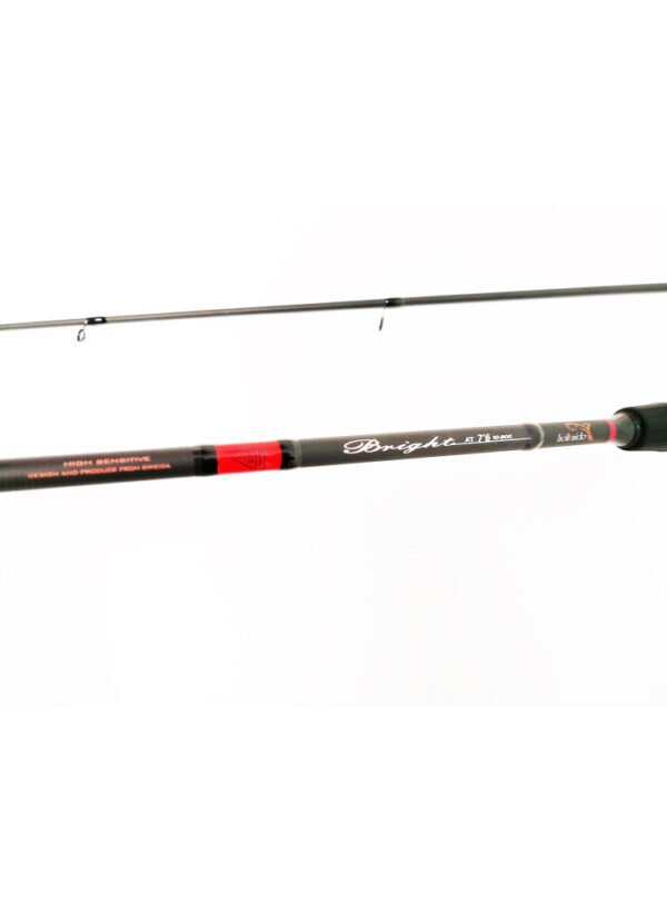 Hokkaido Bright 2.28m 10-30g